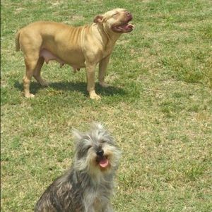 Meet your Posher, Corey